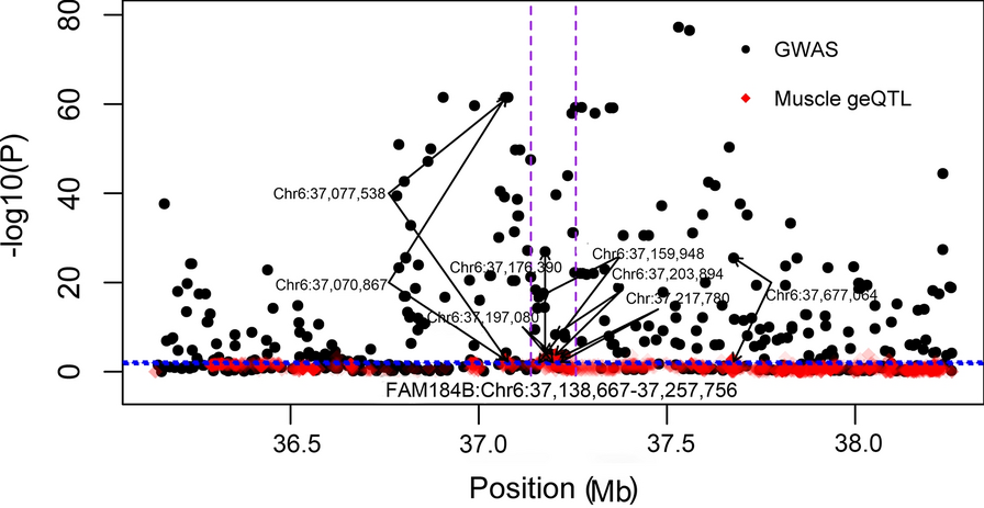 Fig. 4