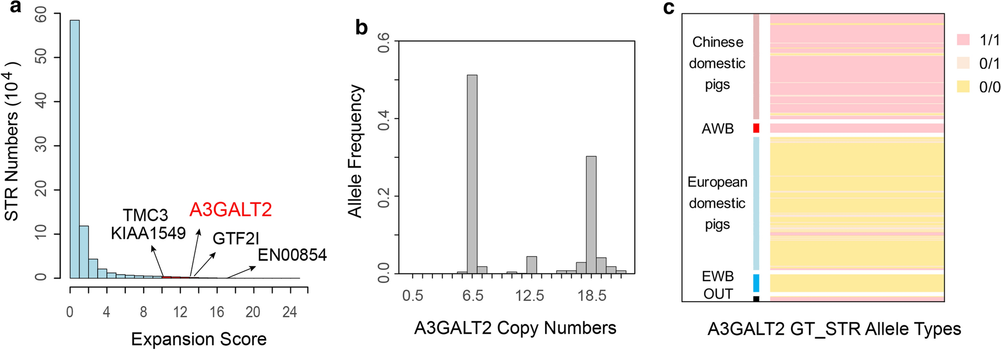 Fig. 4