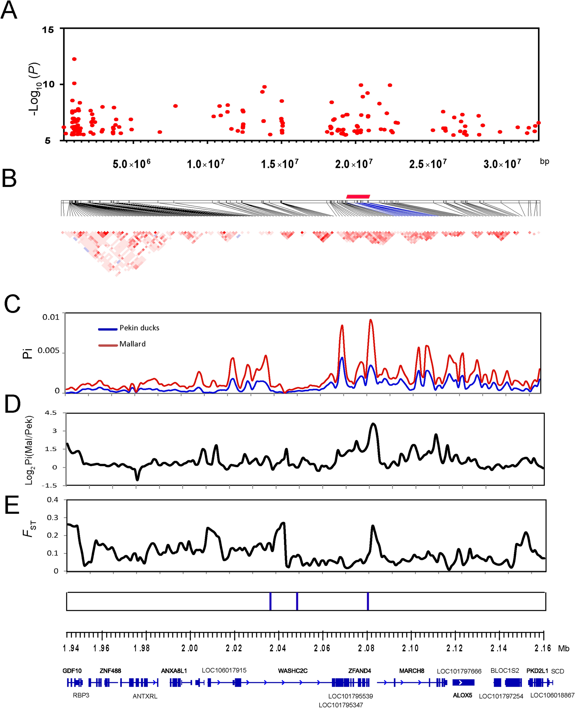 Fig. 4