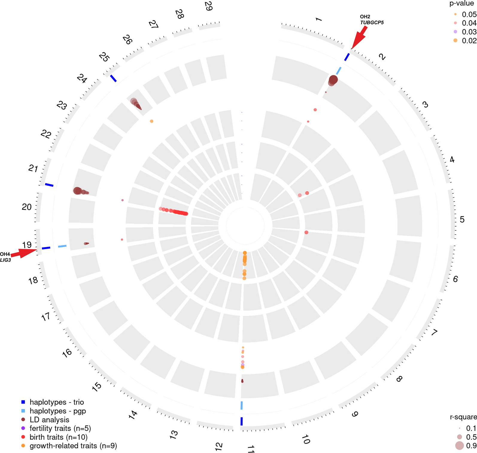 Fig. 3