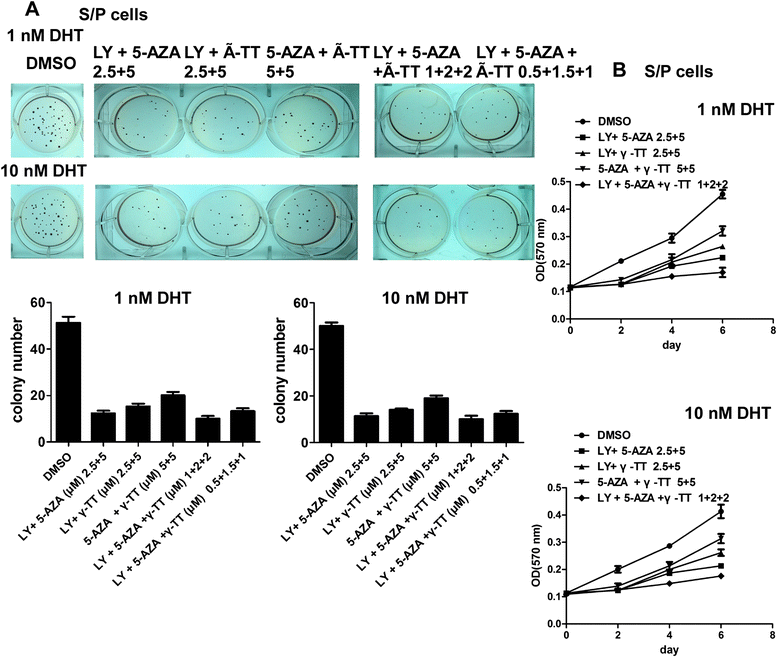 The Androgen Receptor Plays A Suppressive Role In Epithelial Mesenchymal Transition Of Human Prostate Cancer Stem Progenitor Cells Bmc Biochemistry Full Text