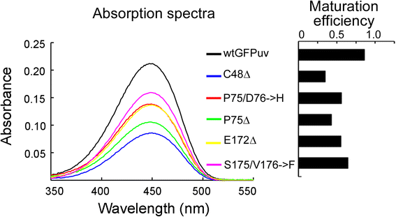 Fig. 6