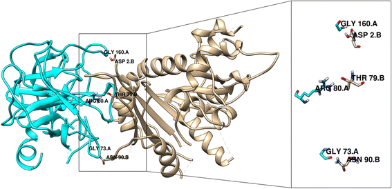 Fig. 18