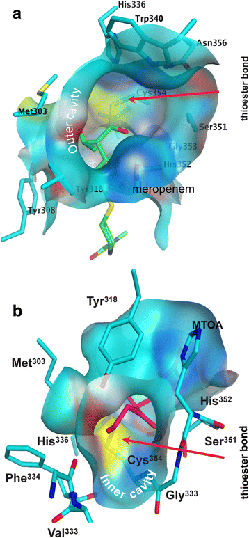 Fig. 6