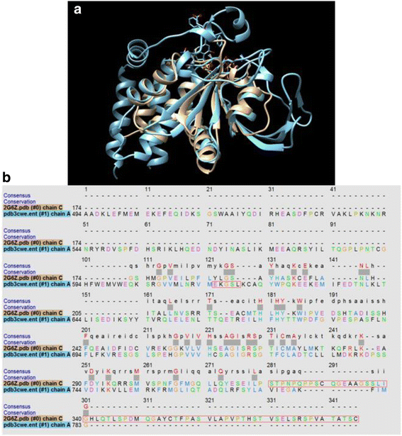 Fig. 9