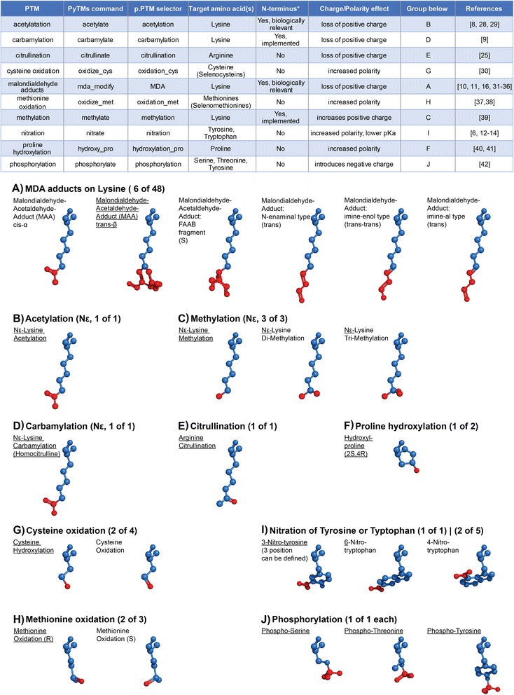 PyTMs: a useful PyMOL plugin for modeling common post-translational ...