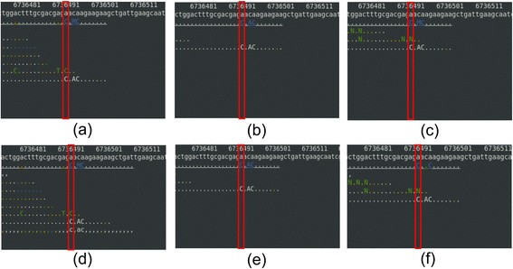 Figure 4