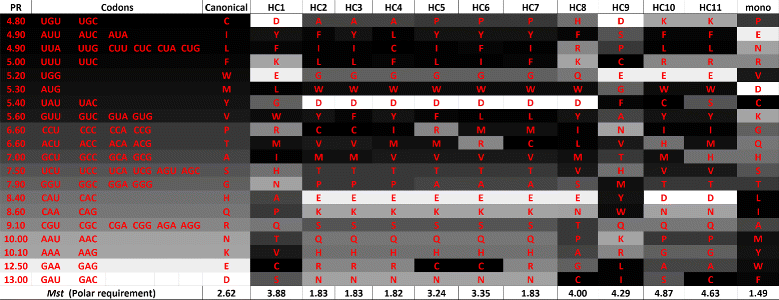 Figure 19