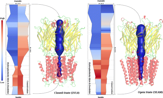 Figure 9