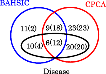 Figure 13