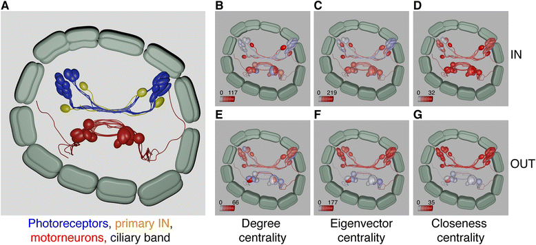 Fig. 5