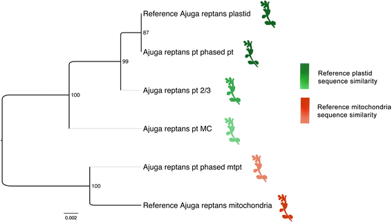 Fig. 2