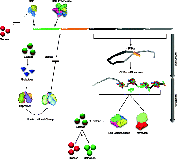 Fig. 2