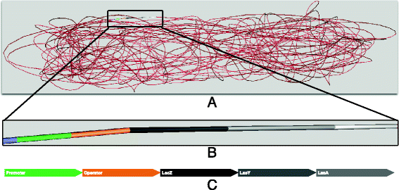 Fig. 5