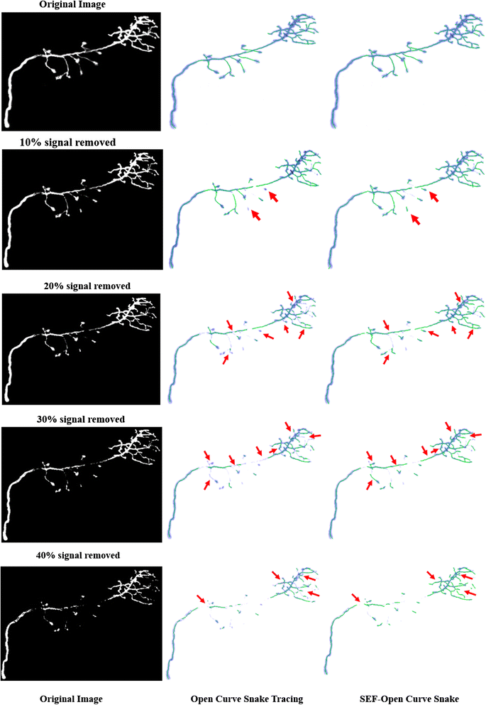 Fig. 13