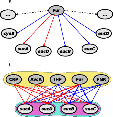 Fig. 2