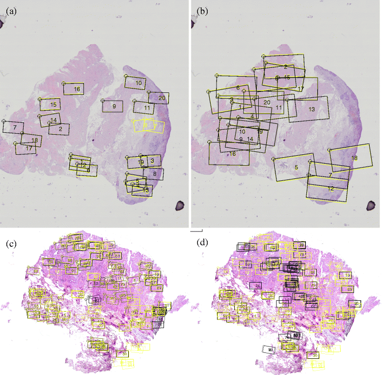 Fig. 5