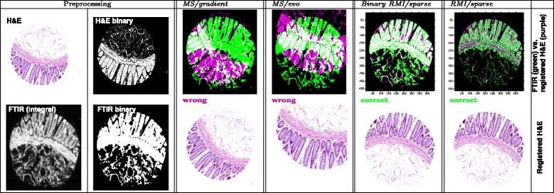 Fig. 6