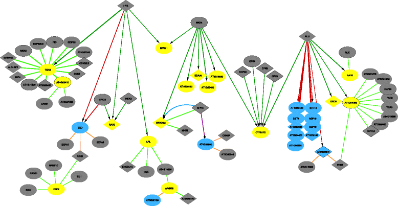 Fig. 6