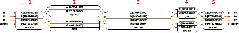 Fig. 5