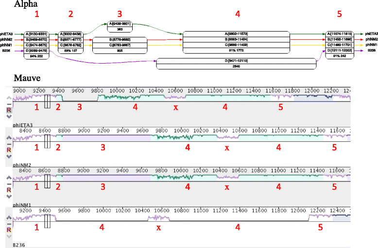 Fig. 8