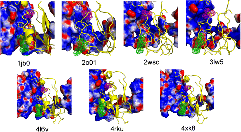 Fig. 9