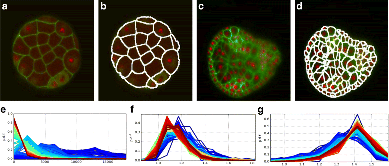 Fig. 8