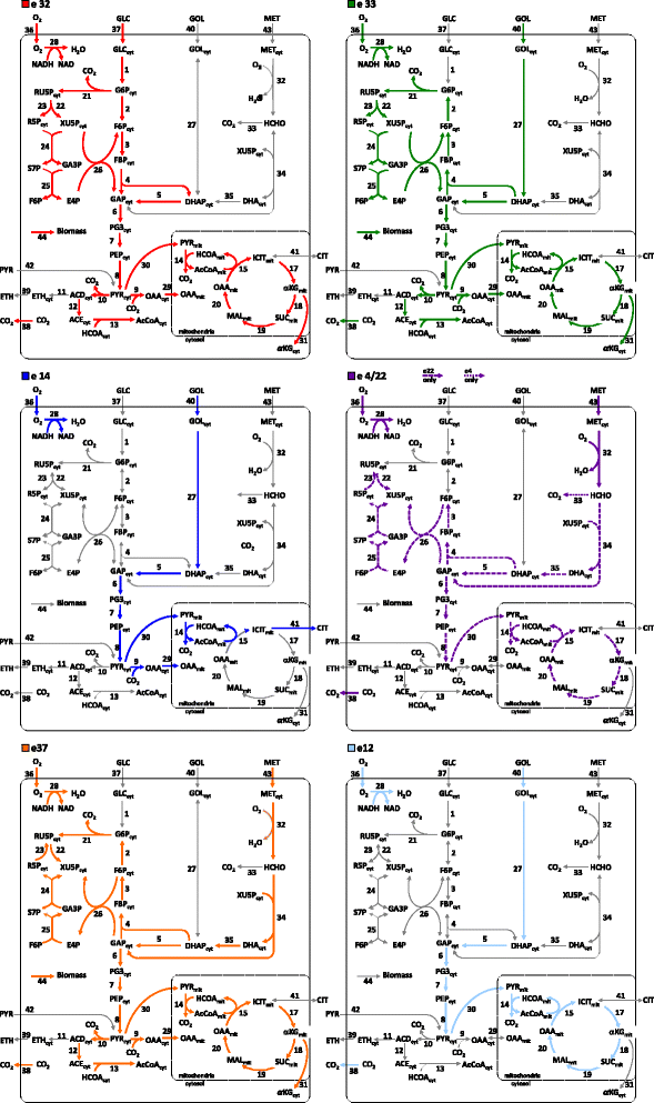 Fig. 7