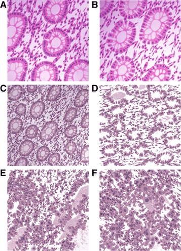 Fig. 10