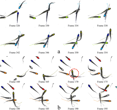 Fig. 8