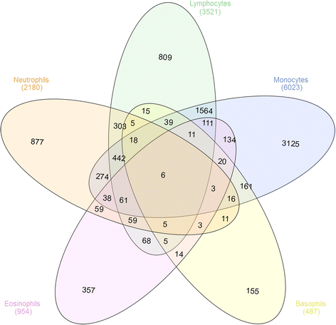 Fig. 5