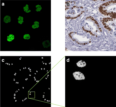 Fig. 14