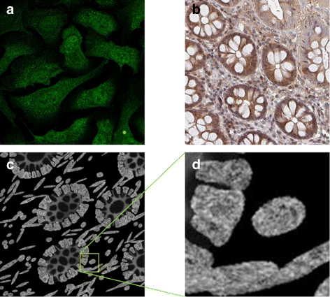 Fig. 15