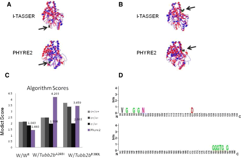 Fig. 12