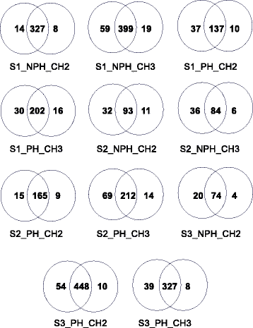 Fig. 10