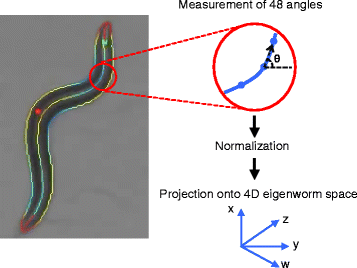 Fig. 1