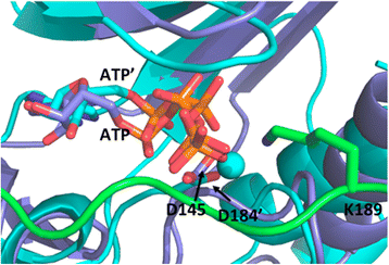 Fig. 4