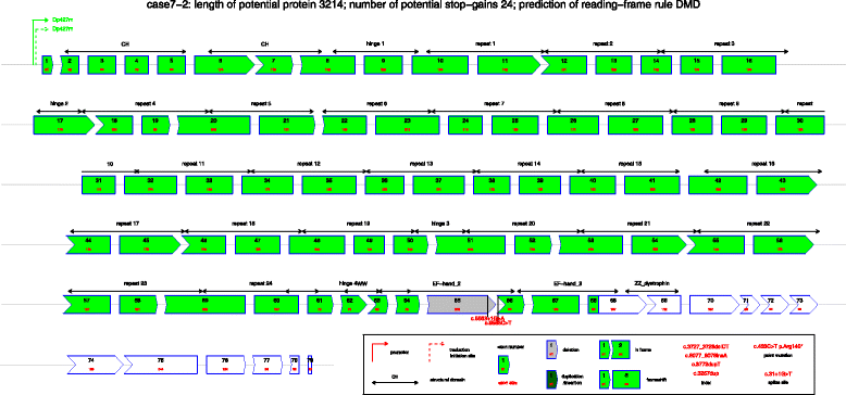 Fig. 2