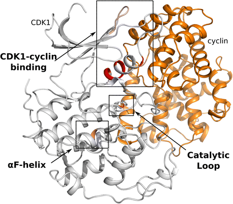 Fig. 10