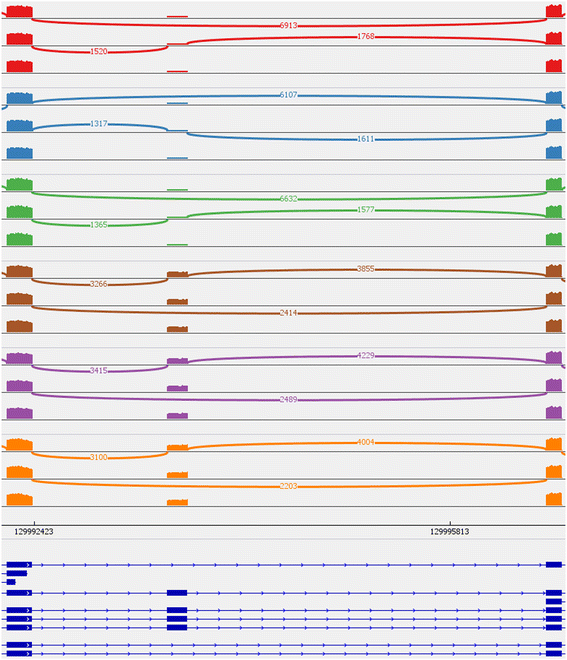 Fig. 6