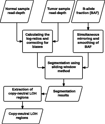 Fig. 1