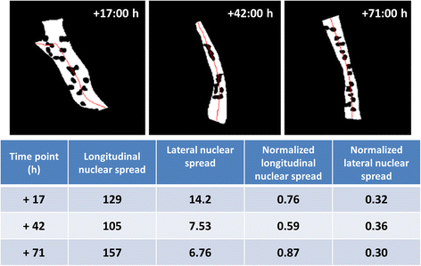 Fig. 10