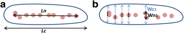 Fig. 9