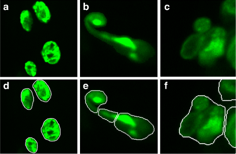 Fig. 8