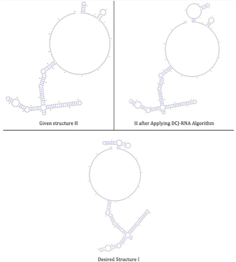 Fig. 13