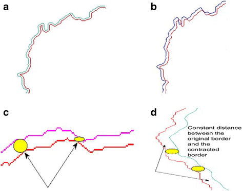 Fig. 5