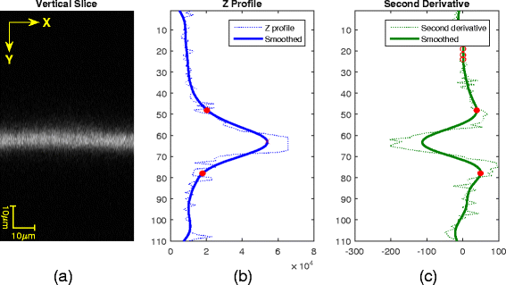 Fig. 12