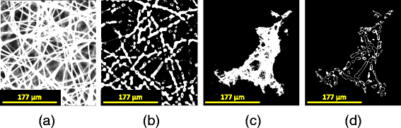 Fig. 15