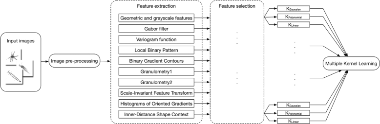 Fig. 1