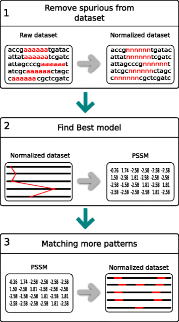 Fig. 1